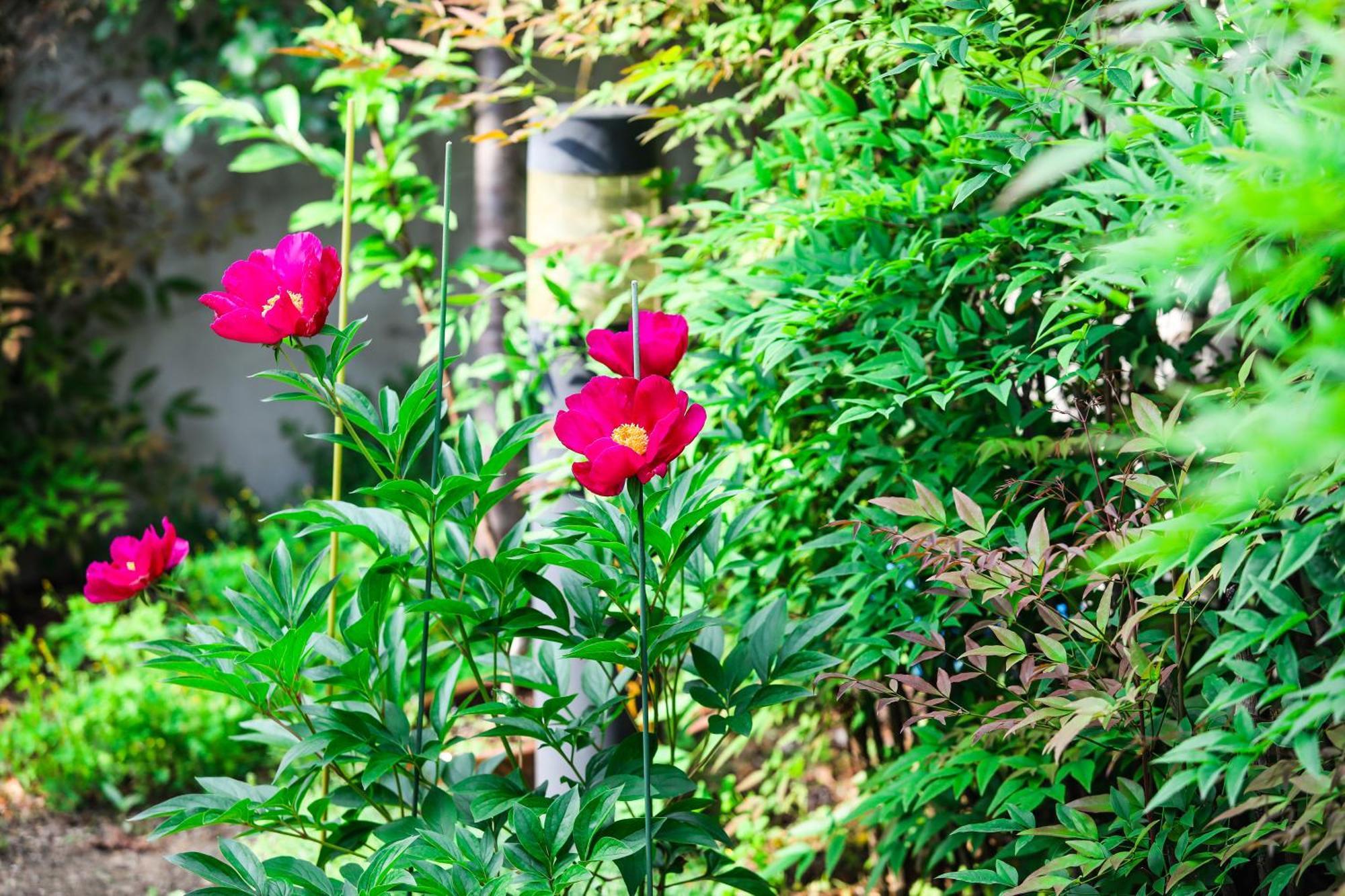 Haengok Guesthouse Jeonju Bagian luar foto